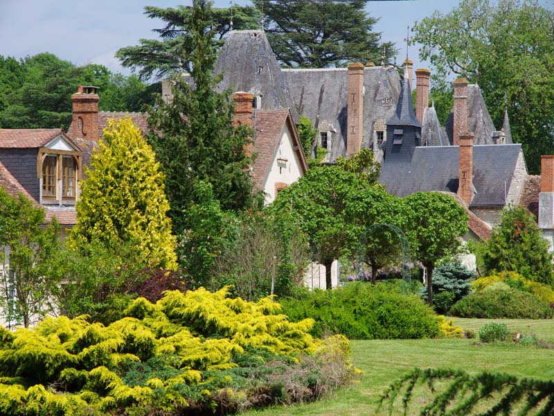 Château de Courcelles Le Roy_45630 BEAULIEU SUR LOIRE_16